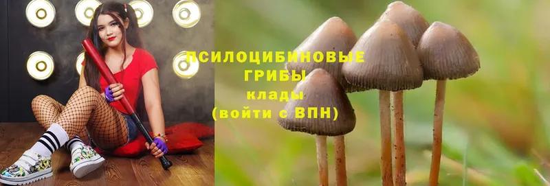 Галлюциногенные грибы Cubensis  наркота  сайты даркнета официальный сайт  Задонск 